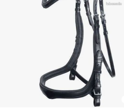 Tried & Tested: Schockemöhle Equitus Delta Anatomic Bridle Review