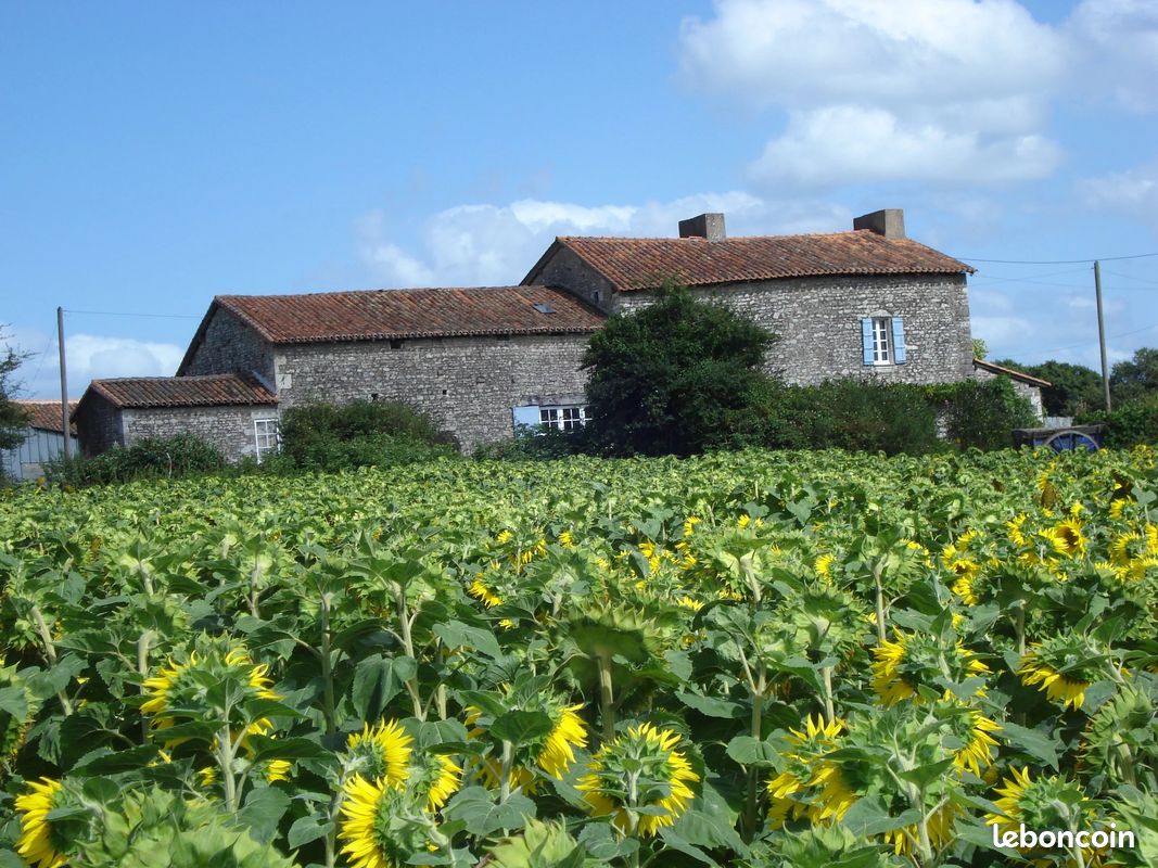 Maison 8 pièces 346 m² · à Turgon · 346 m² · 119 900 €
