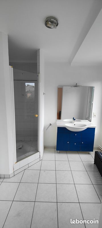 Appartement F2 bis - Tulle 19000 (image principale 2)