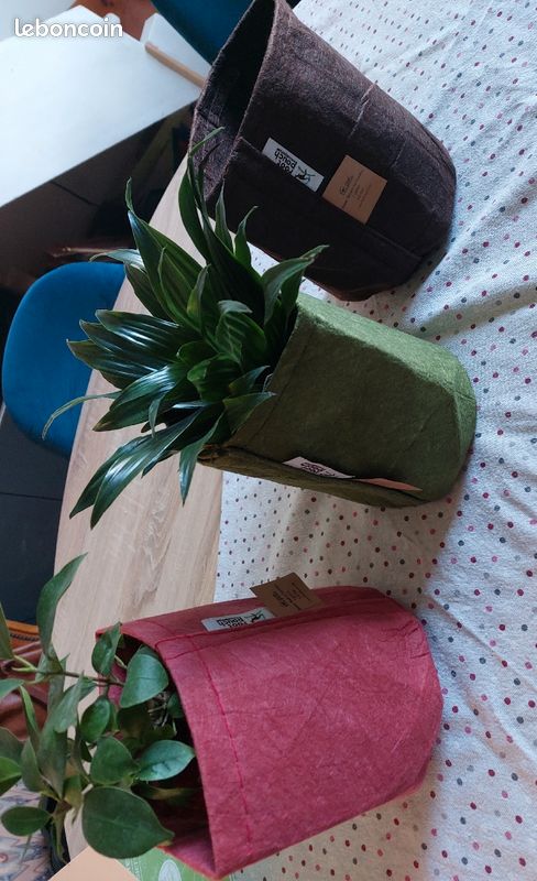 Lot de pot pour plantes en géotextile (image 2)
