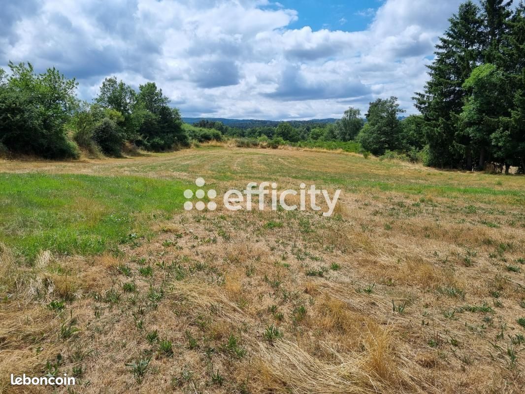 Terrain 4 460 m² Blavignac (image 1)
