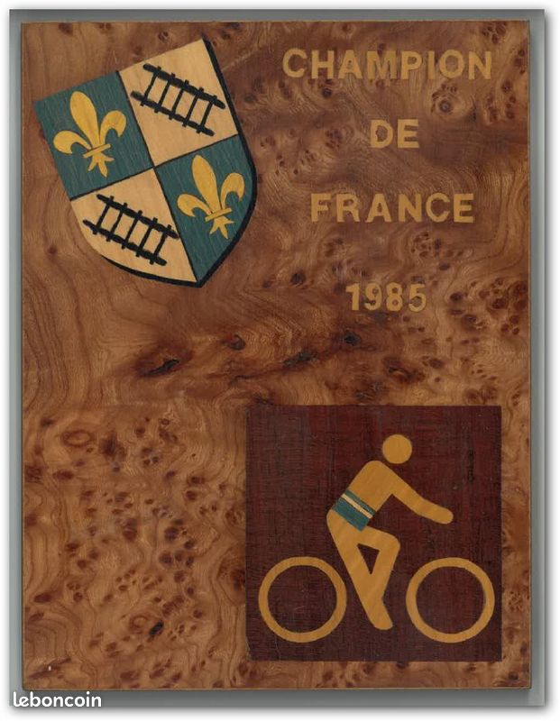 BMX skyway (champion france 1985) (image 2)