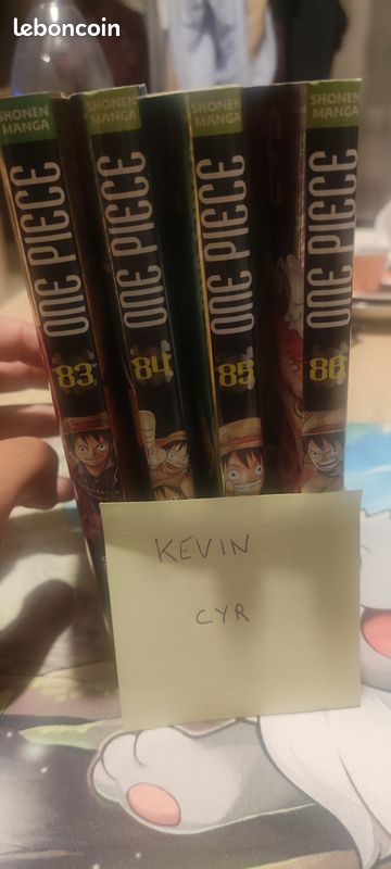 Mangas one piece 20 ans collector (image 2)