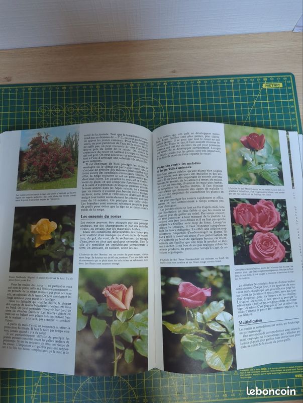 Encyclopédie du jardinier (image 6)