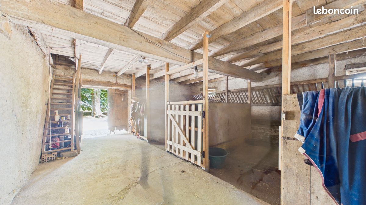 Propriété 8 pièces 300 m² (image 16)