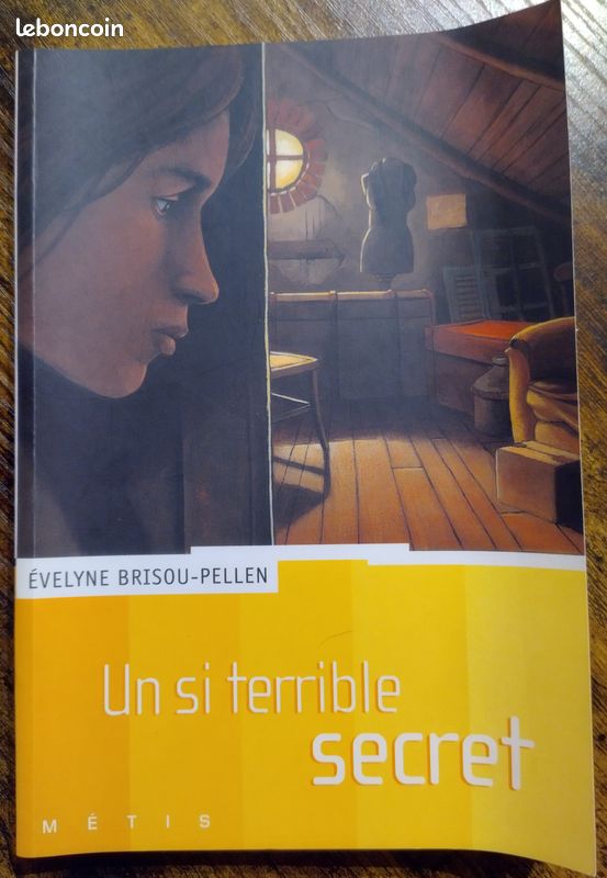 Un si terrible secret (image 1)