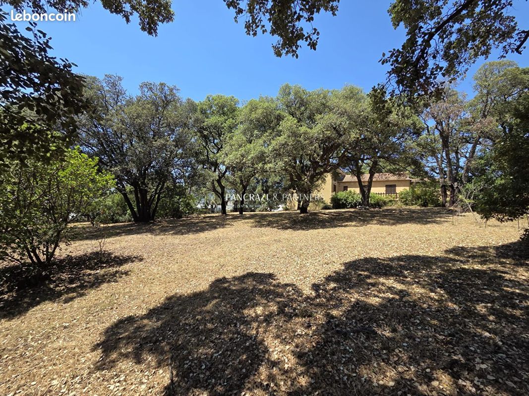 Terrain 2749 m² · à Sarrola-Carcopino · 2 749 m² · 890 000 €