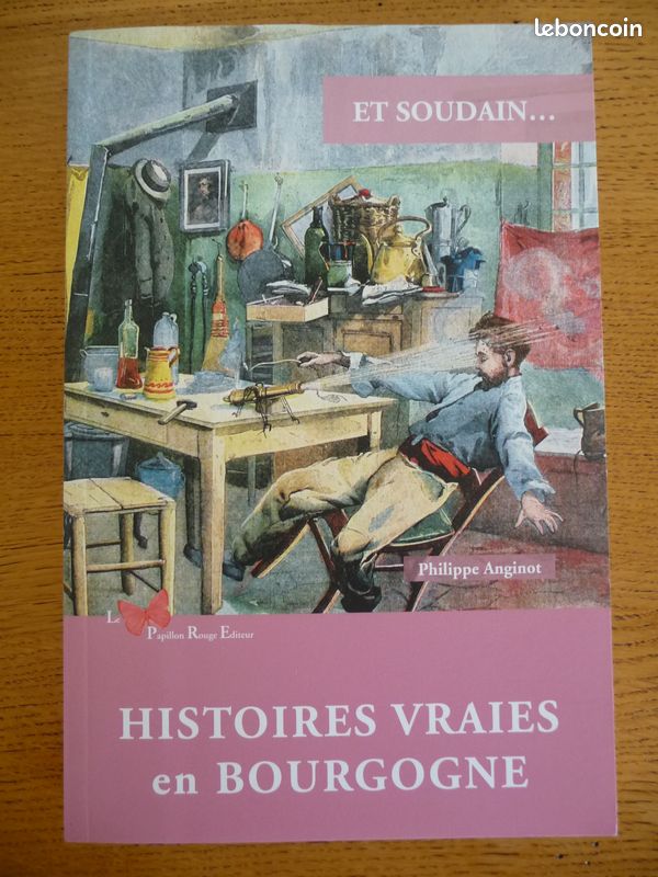 Et Soudain... HISTOIRES VRAIES en BOURGOGNE par Philippe Anginot (image 1)