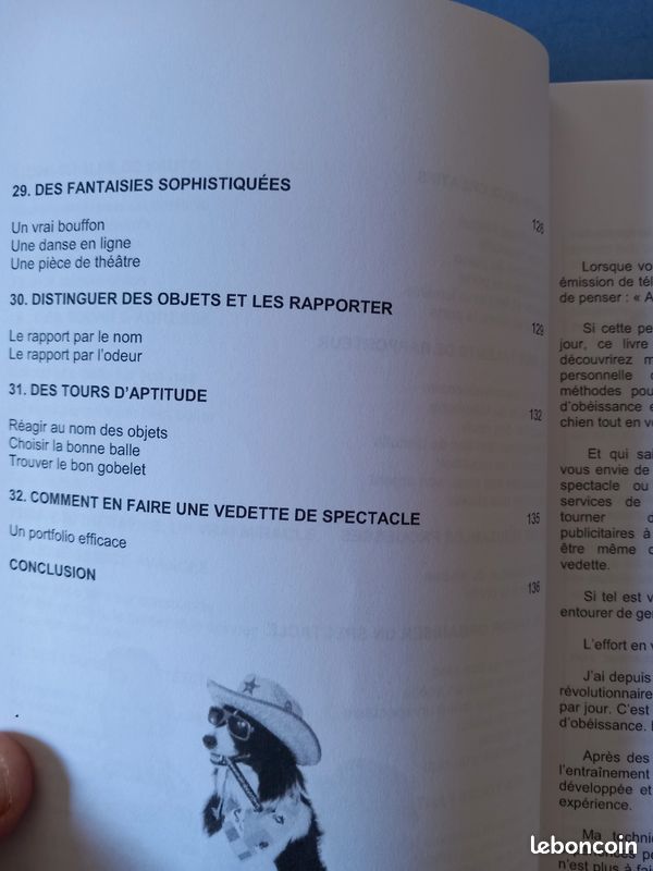 Entraîner ton chien facilement en seulement 15 minutes par jour " découvre la méthode positive tendresse tout en vous amusant " (image 10)