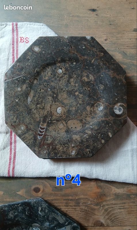 Assiette fossile (image 6)