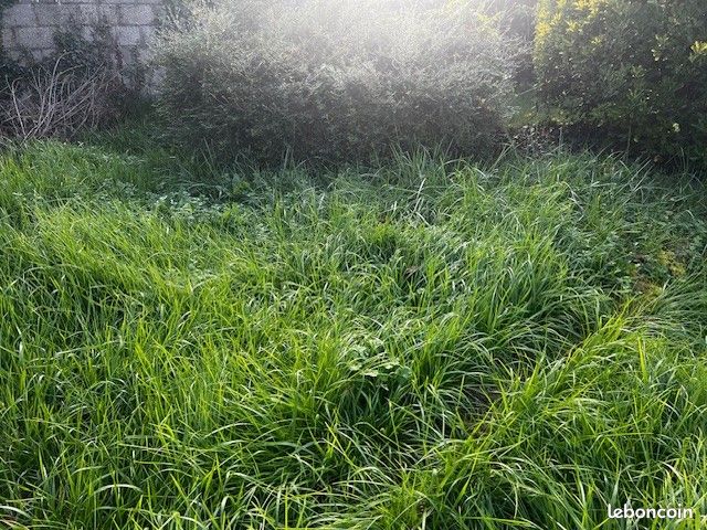 Terrain 500 m² Perigueux · à Périgueux · 36 000 €