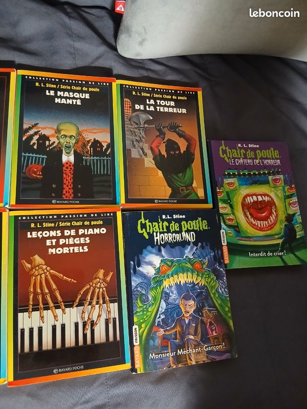 Lot livre horreur jeunesse chair de poule (image 3)