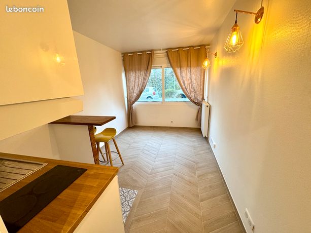 Studio 17m2 entièrement rénové à vendre