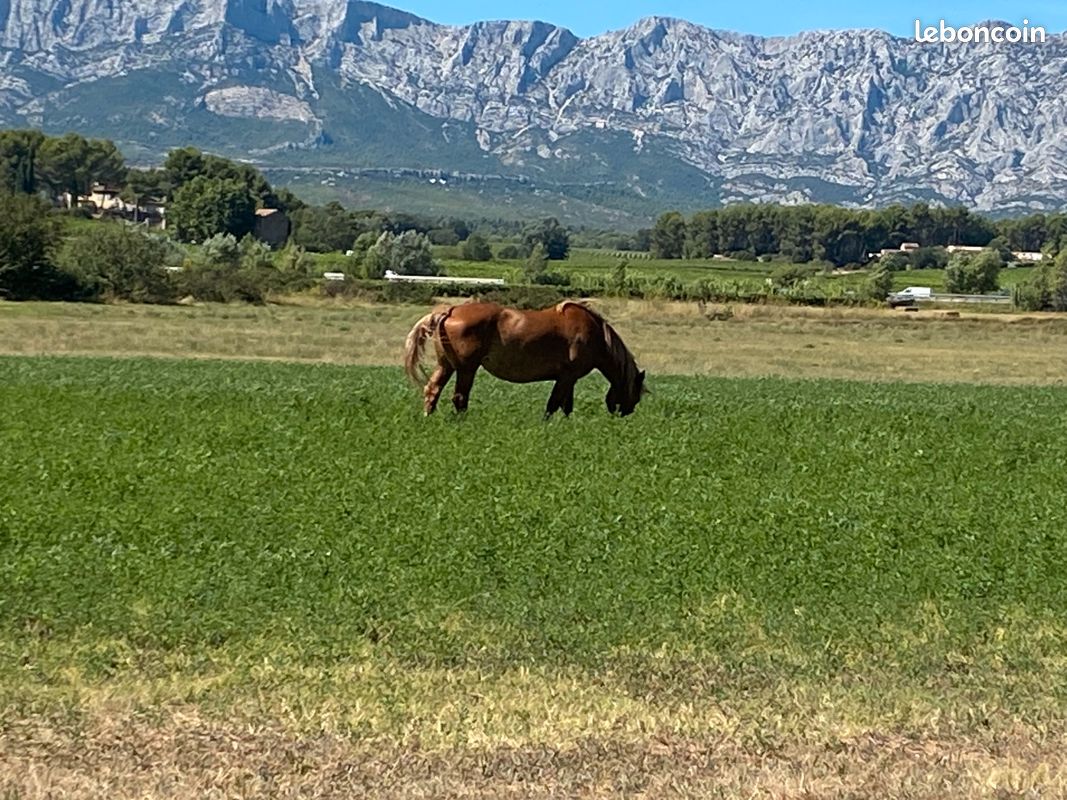 Terrain agricole A1 · à Trets · 80 000 €