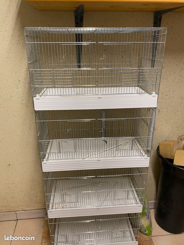 Cages de reproduction (image 1)