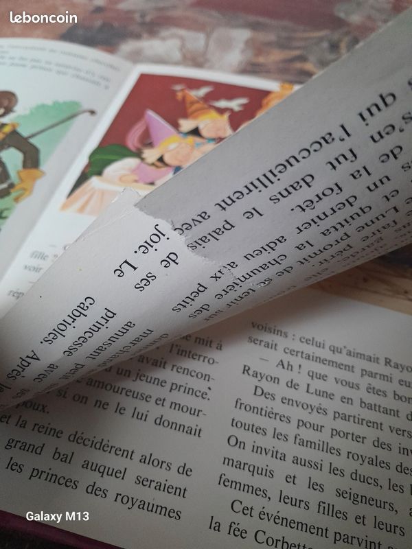 Les plus beaux contes La belle au bois dormant Whitman (image 5)