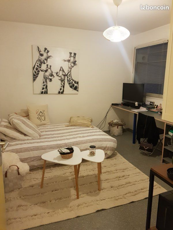 Appartement 1 pièce 19 m² · à Montpellier · 19 m² · 505 €/mois