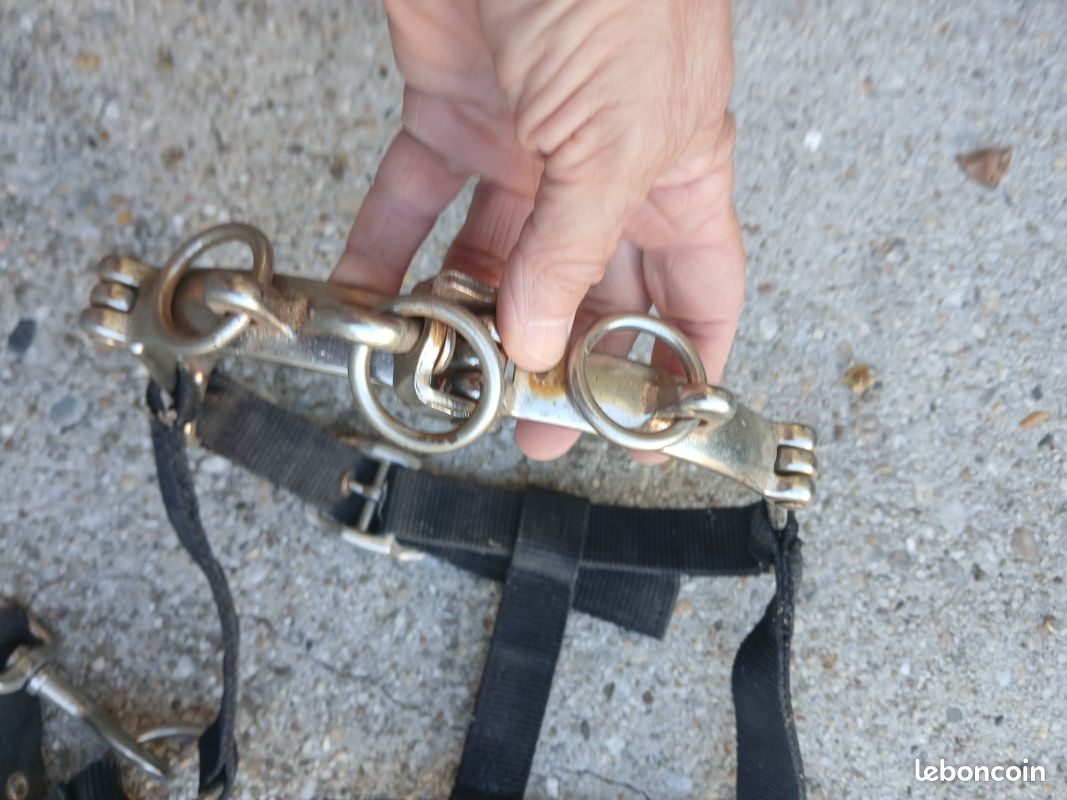 Caveçon pour longer,travail du cheval NYLON noir taille COB avec bouclerie chromé (image 3)