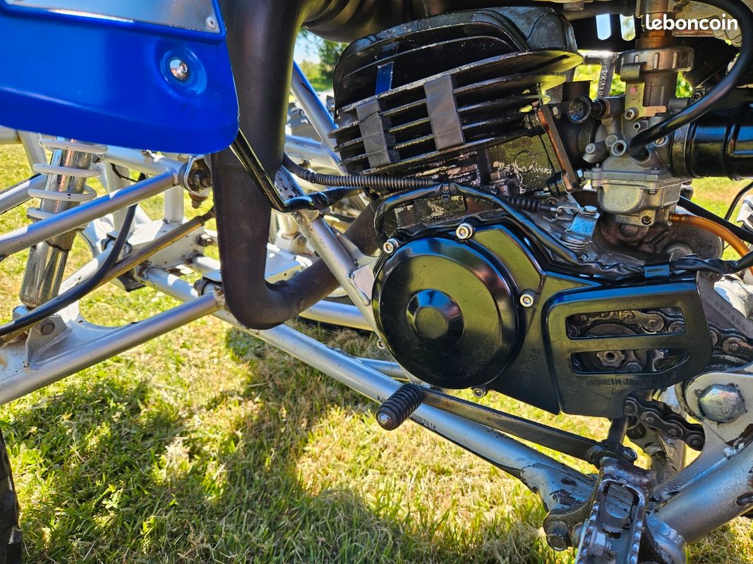 Yamaha 200 blaster (image 6)