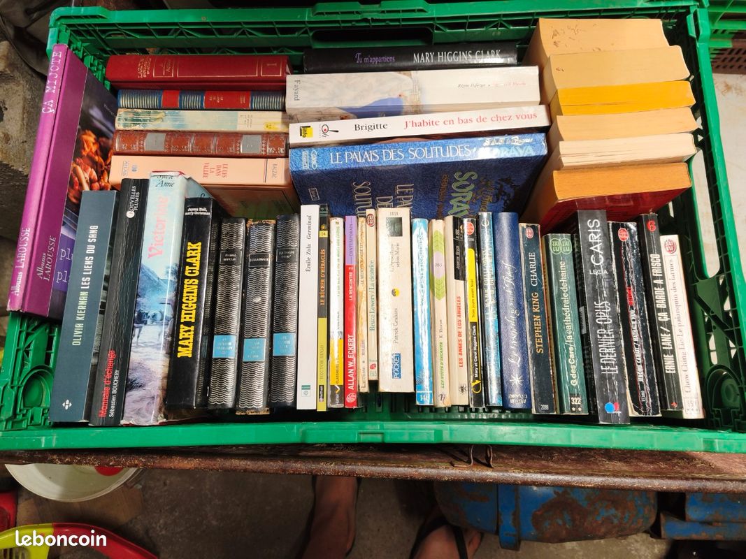 Lot de livres de toute sorte (image 6)