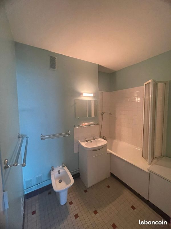 Beau T2 disponible immédiatement - Limoges 87000 (image principale 2)