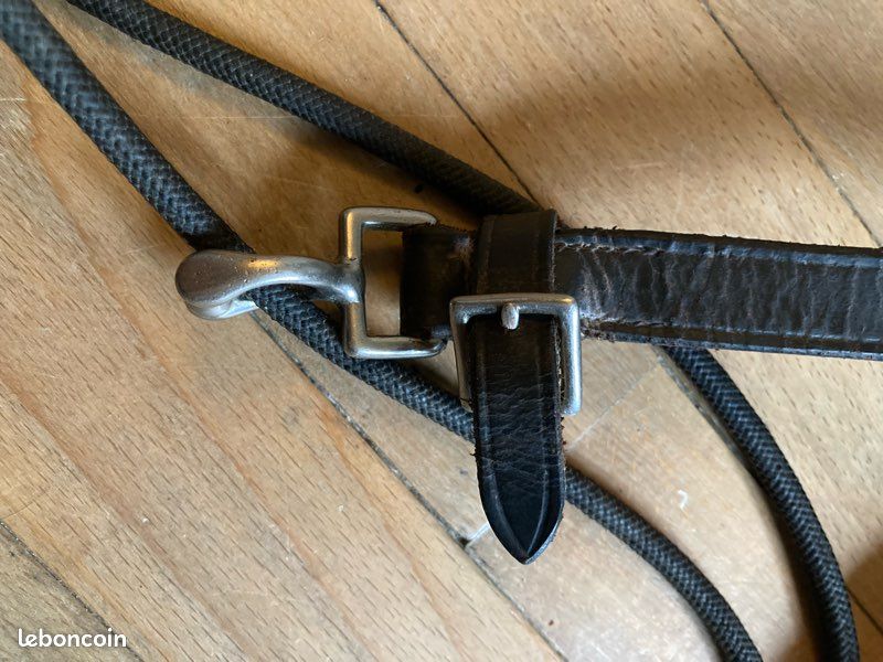 Gogue cheval fouganza (image 4)