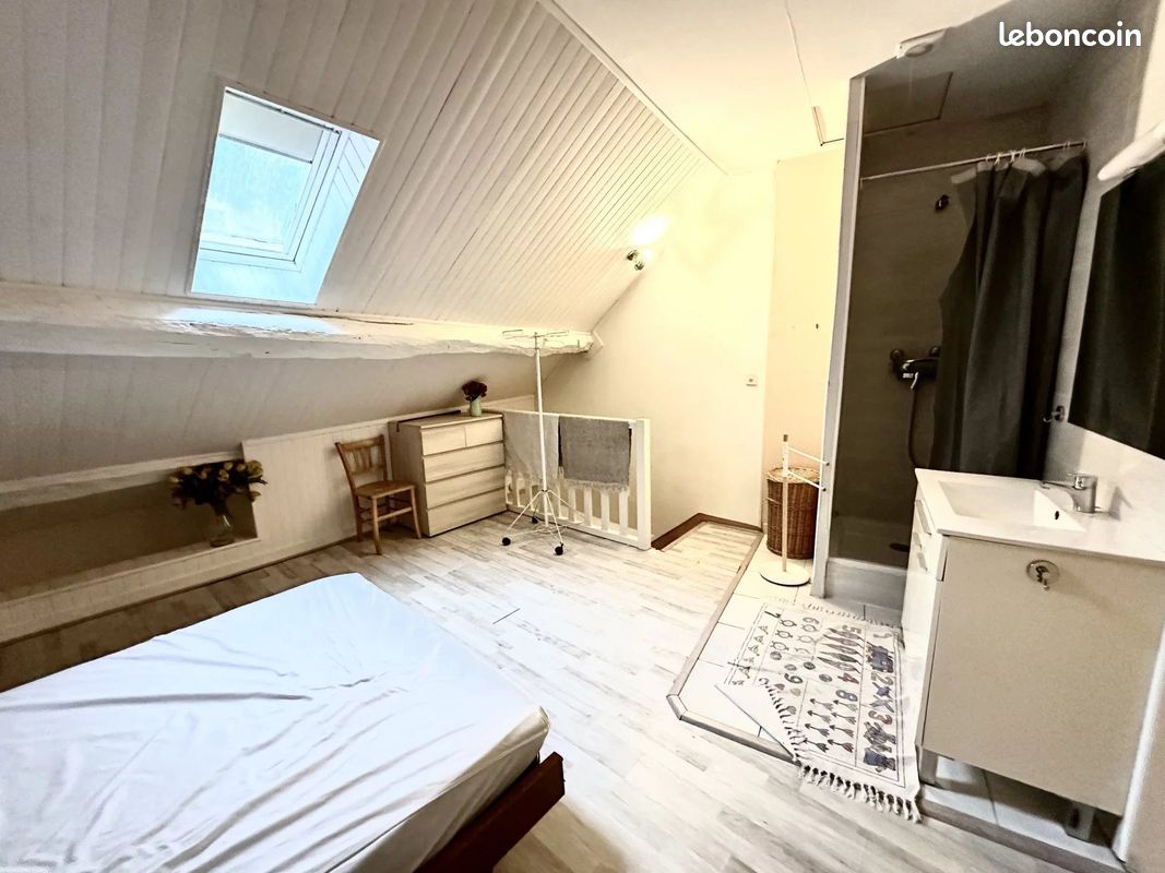 Duplex 2 pièces 44 m² (image 4)
