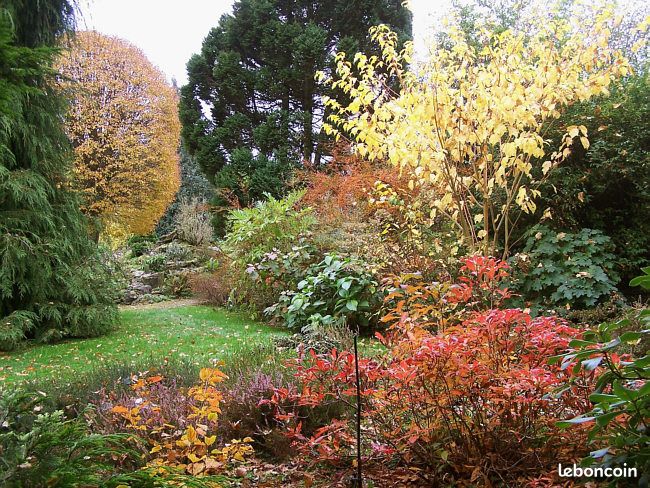 Gîte dans beau jardin (image 9)