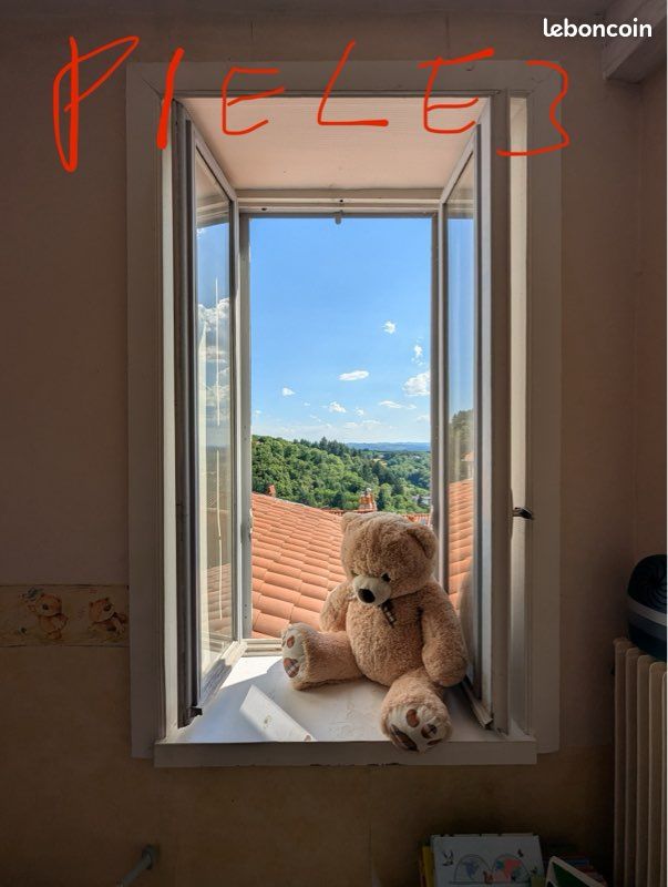 Appartement 3 pièces 75 m² · à Thiers · 75 m² · 550 €