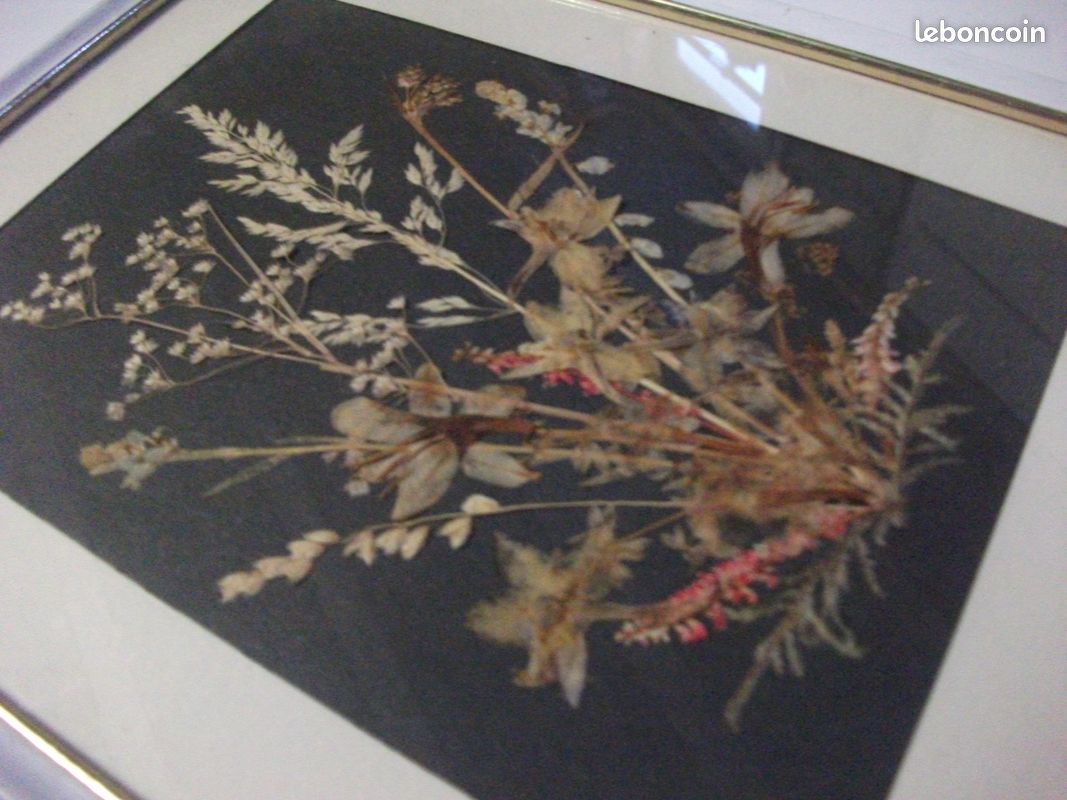 Tableau avec compostions de fleurs séchées (image 1)