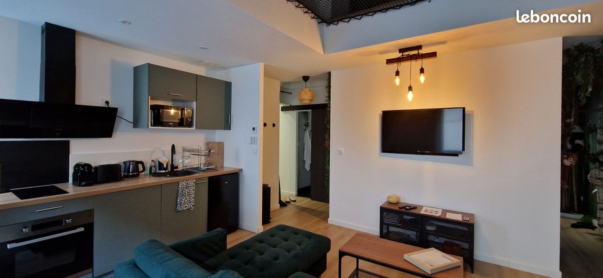 Appartement 4 pièces 55 m² · à Sury-le-Comtal · 55 m² · 120 000 €