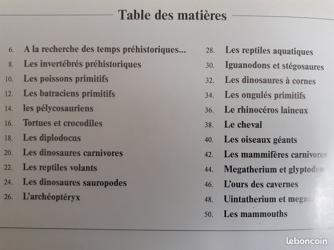 La préhistoire (image 3)