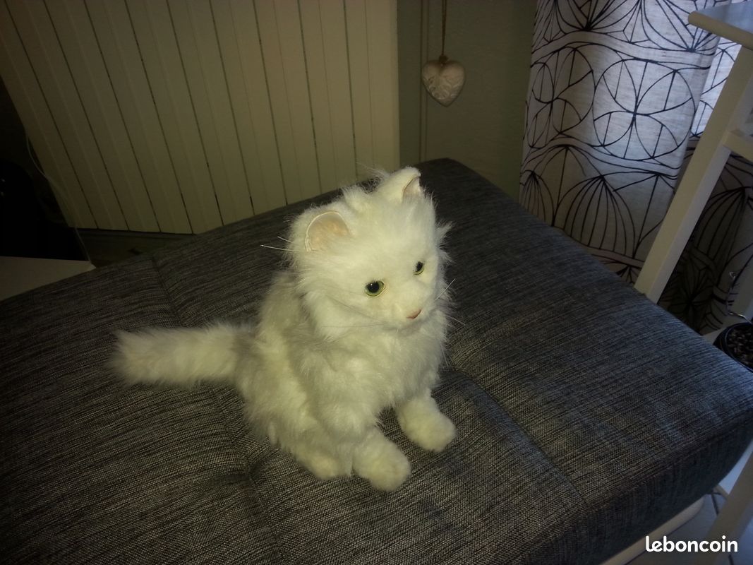 Chat automate neuf blanc (image 2)