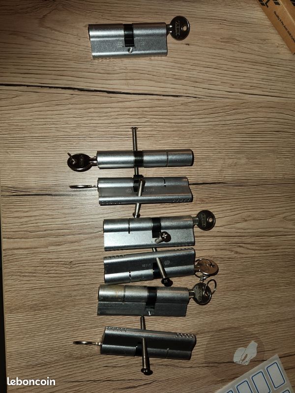 Barillets de porte 40/ 55 mm et 40/40 mm (image 1)