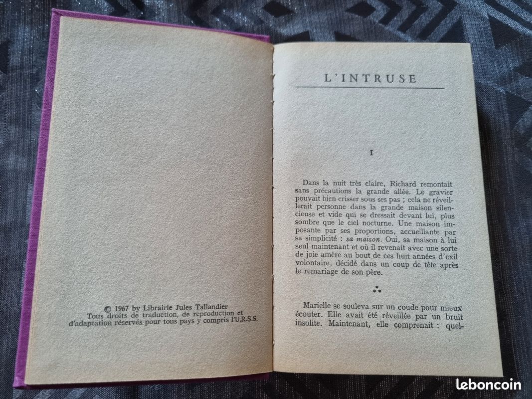L'intruse - Léon Dartey (image 4)