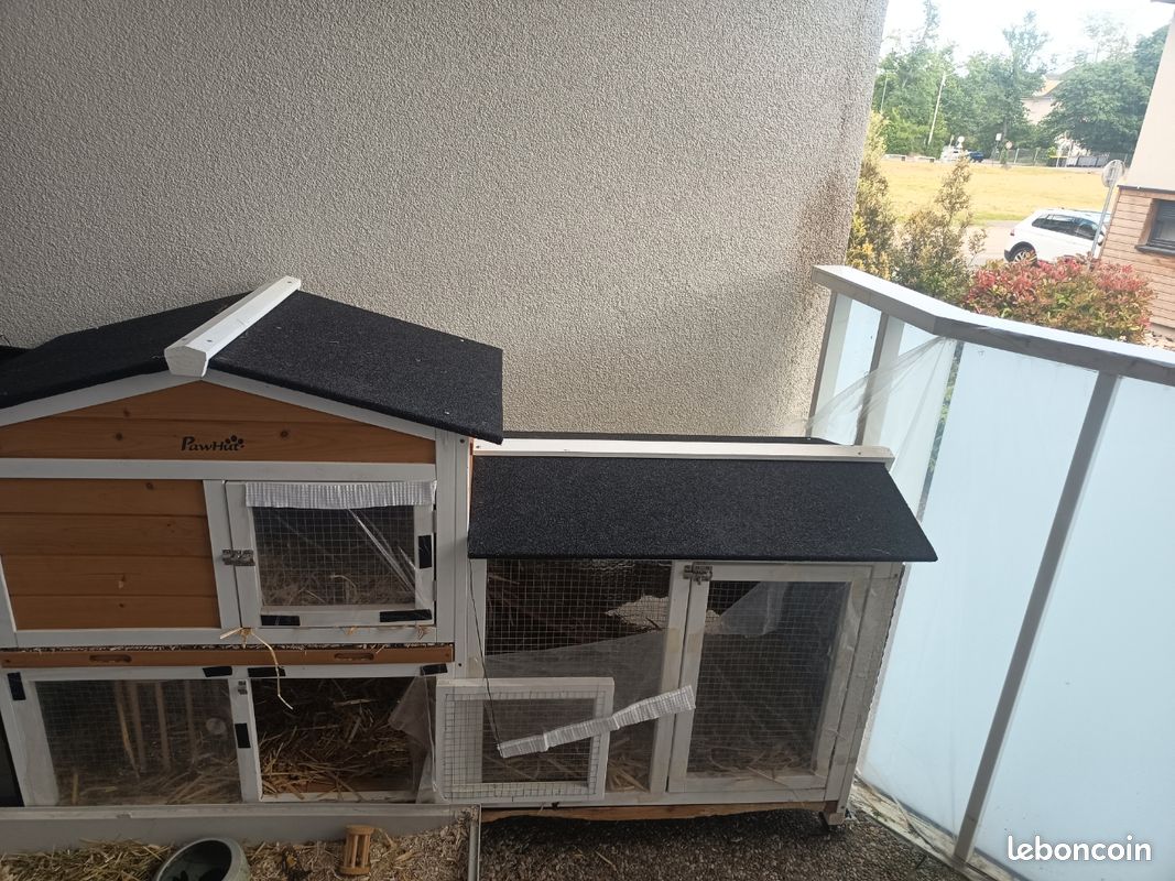 Clapier / cage lapin disponible début juin (image 2)