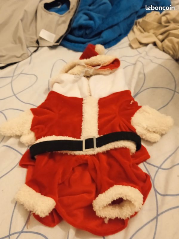 Habit de Noël pour chien (image 3)