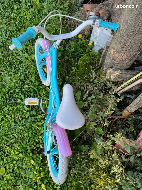 Petit vélo reine des neiges 13 pouces Vélos