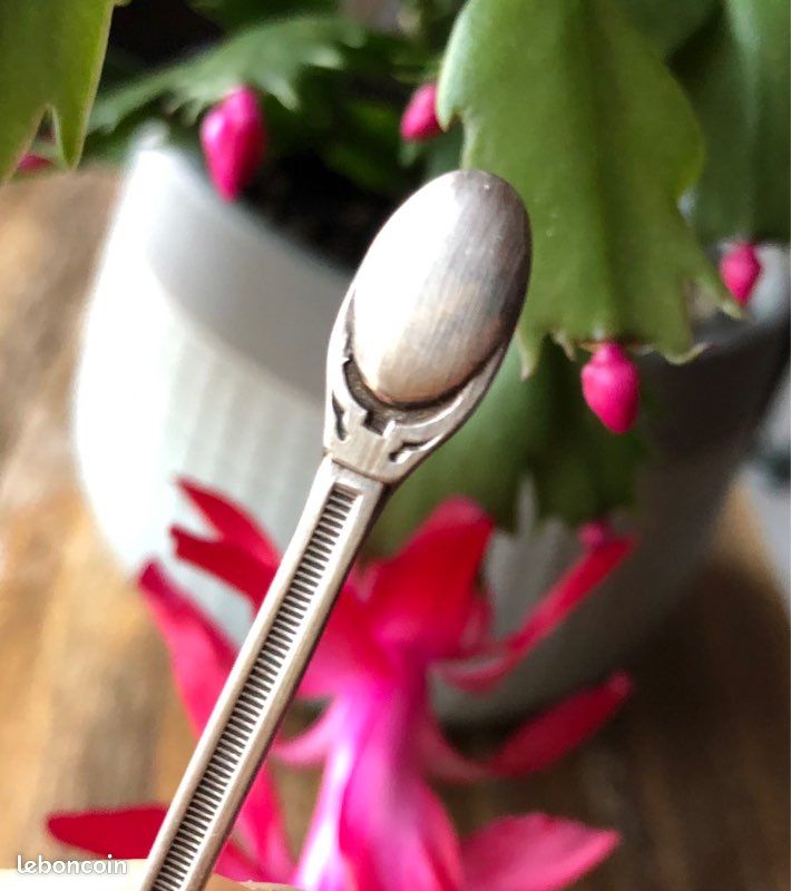🦋 dixi coffret cuillères à moka anciennes 🦋 (image 6)