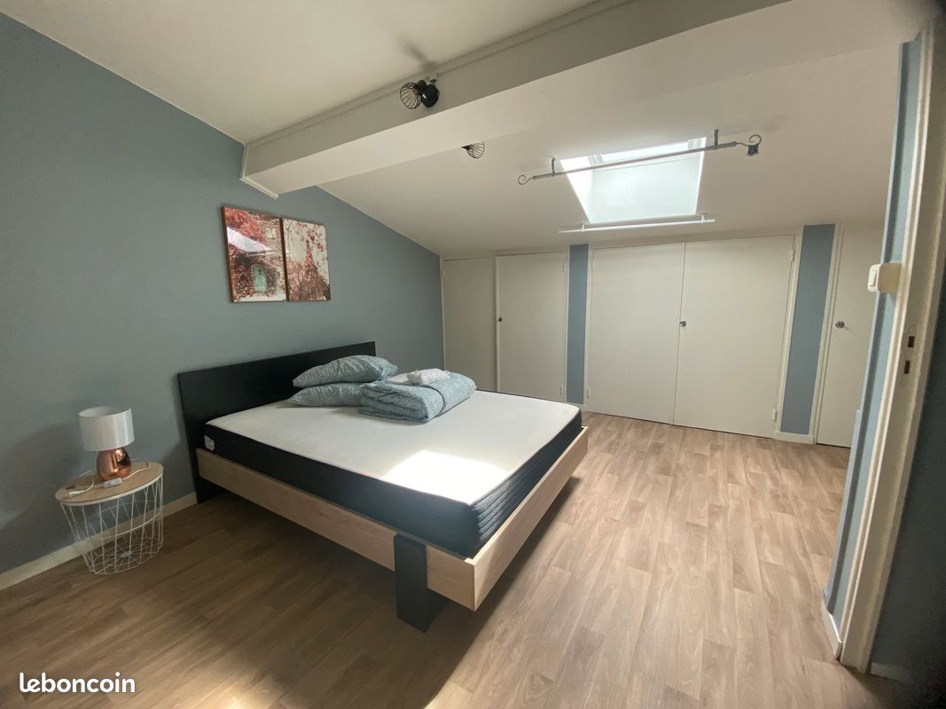 Grand studio centre ville - Limoges 87000 (image principale 6)