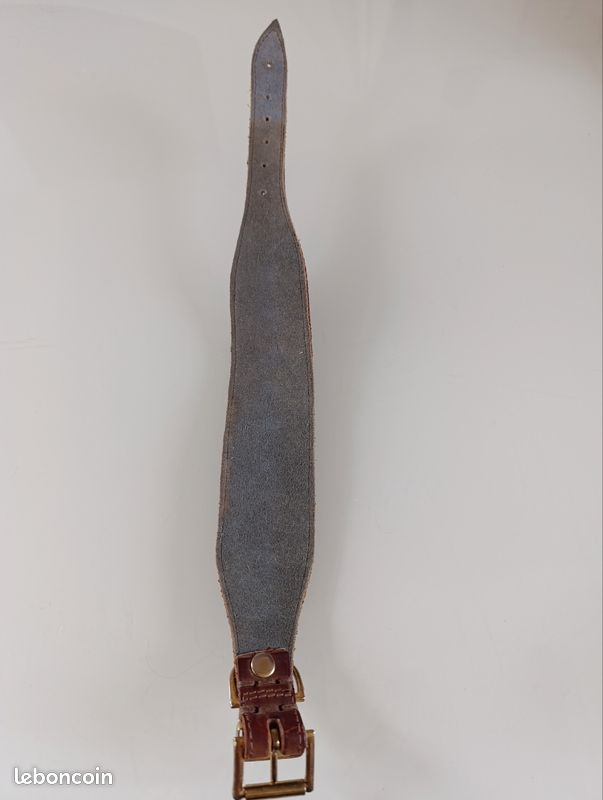 Collier chiens cuir 8 clous plats dorés (image 3)