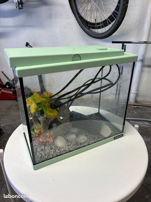 Aquarium (image 1)