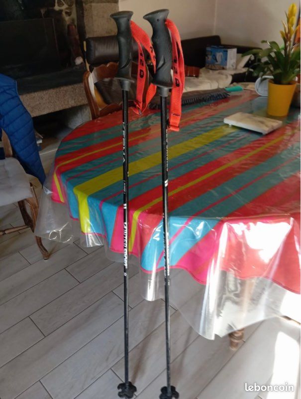 Bâtons de ski (image 1)