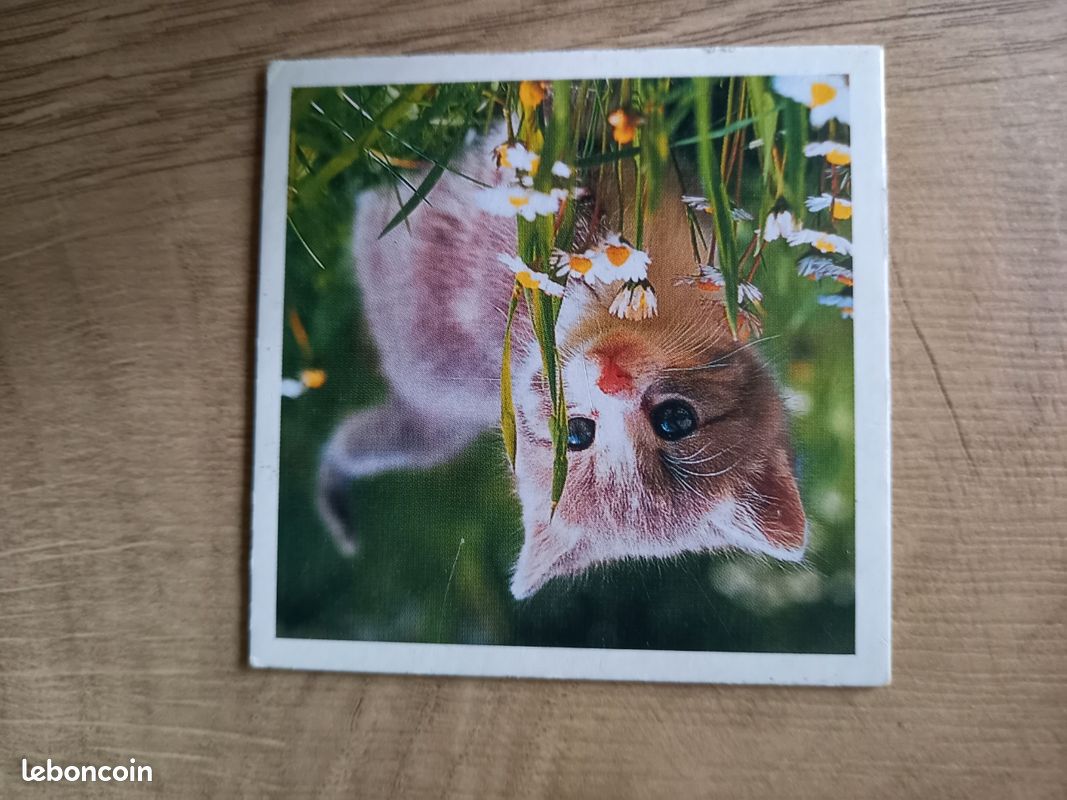 Memory petits animaux Ravensburger (image 3)