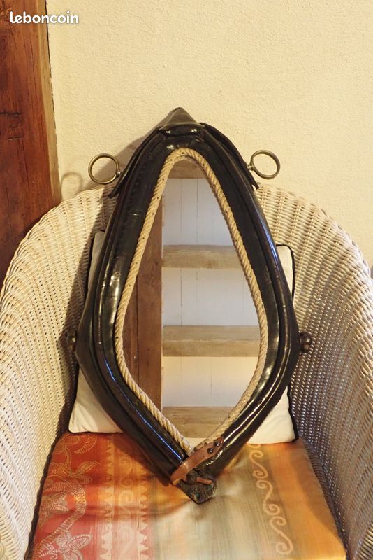 Collier de cheval (image 1)