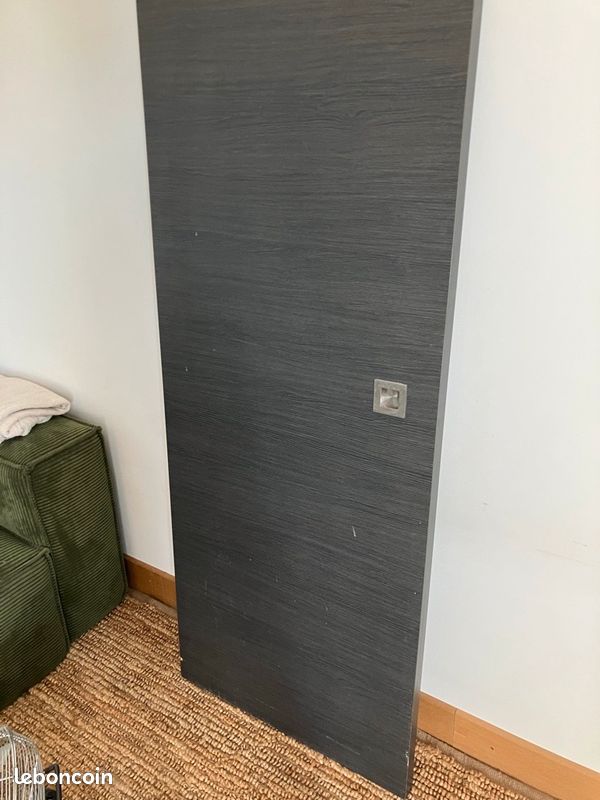 Porte à galandage 60 cm (image 1)