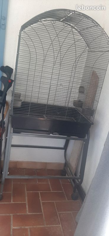 Cage Montana pour oiseaux (image 3)