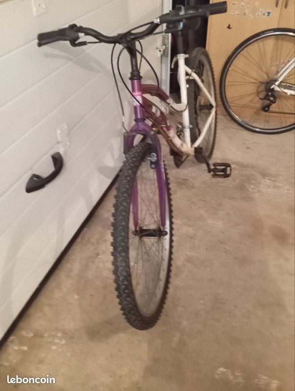 Vélo ado / adulte (image 1)