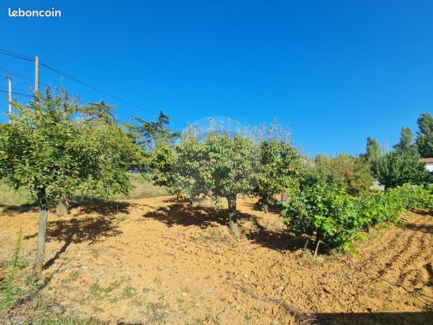 Terrain 873 m² MARSSAC SUR TARN