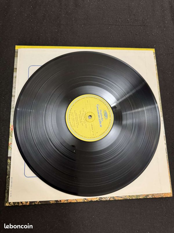 Vinyls À Vienne au Temps des Strauss (image 4)